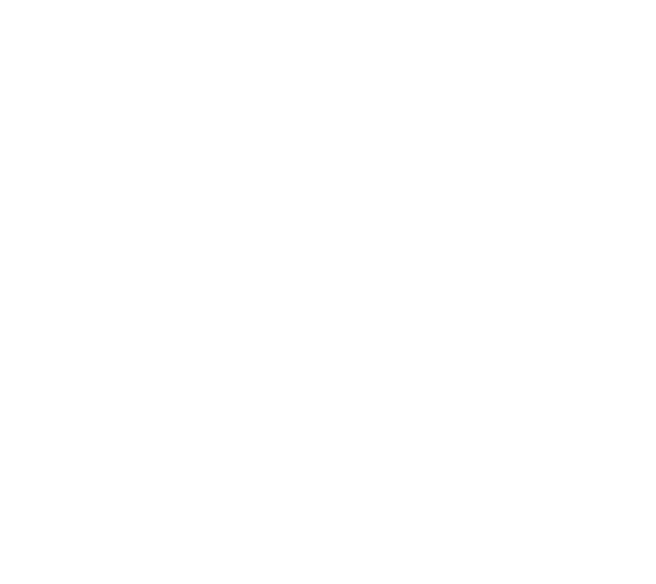 Certified Minority Owned Business